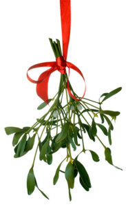 Mistletoe hanging upside down from red ribbon