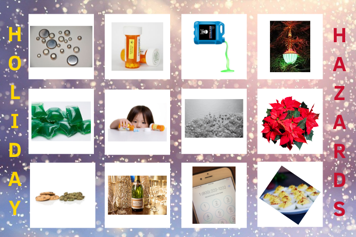 A collage of images of the 12 poison hazards listed in the blog