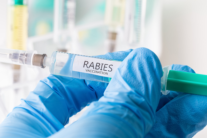 Gloved hand holding a syringe of a rabies vaccine
