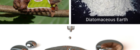 A collage with a saddleback caterpillar, diatomaceous earth, and liquid mercury.