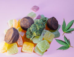 Mix of edible cannabis products