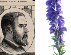 Collage with a portrait sketch of George Henry Lansom on the left and a picture of an aconite plant on the right