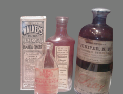 Various antique bottles of Jamaican Ginger Extract/Jake